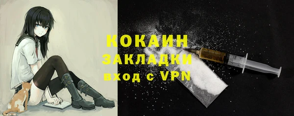 прущие грибы Иннополис