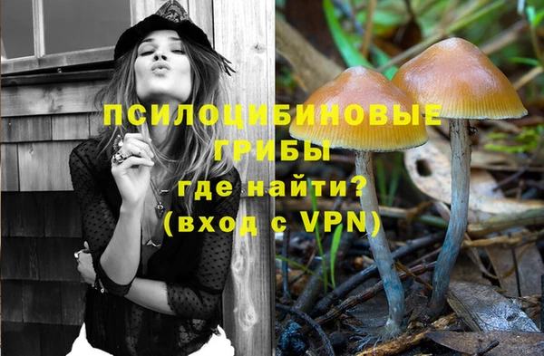 мескалин Арсеньев